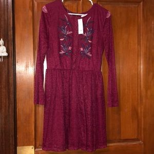Francesca’s Lace Maroon Dress